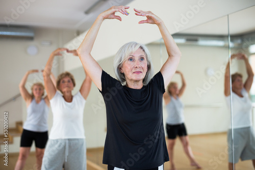 Mature active women who are engaged in the dance section at a group class  perform ballet exercises in the studio