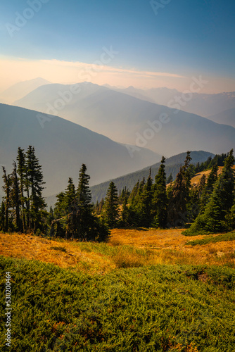 Green and golden hills and blue valleys with wildfire smoke in Olympic National Park  Washington State