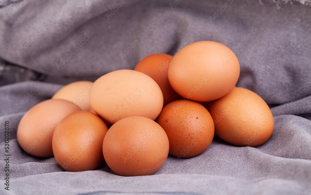 chicken eggs put on fabric gray chicken eggs put on fabric gray