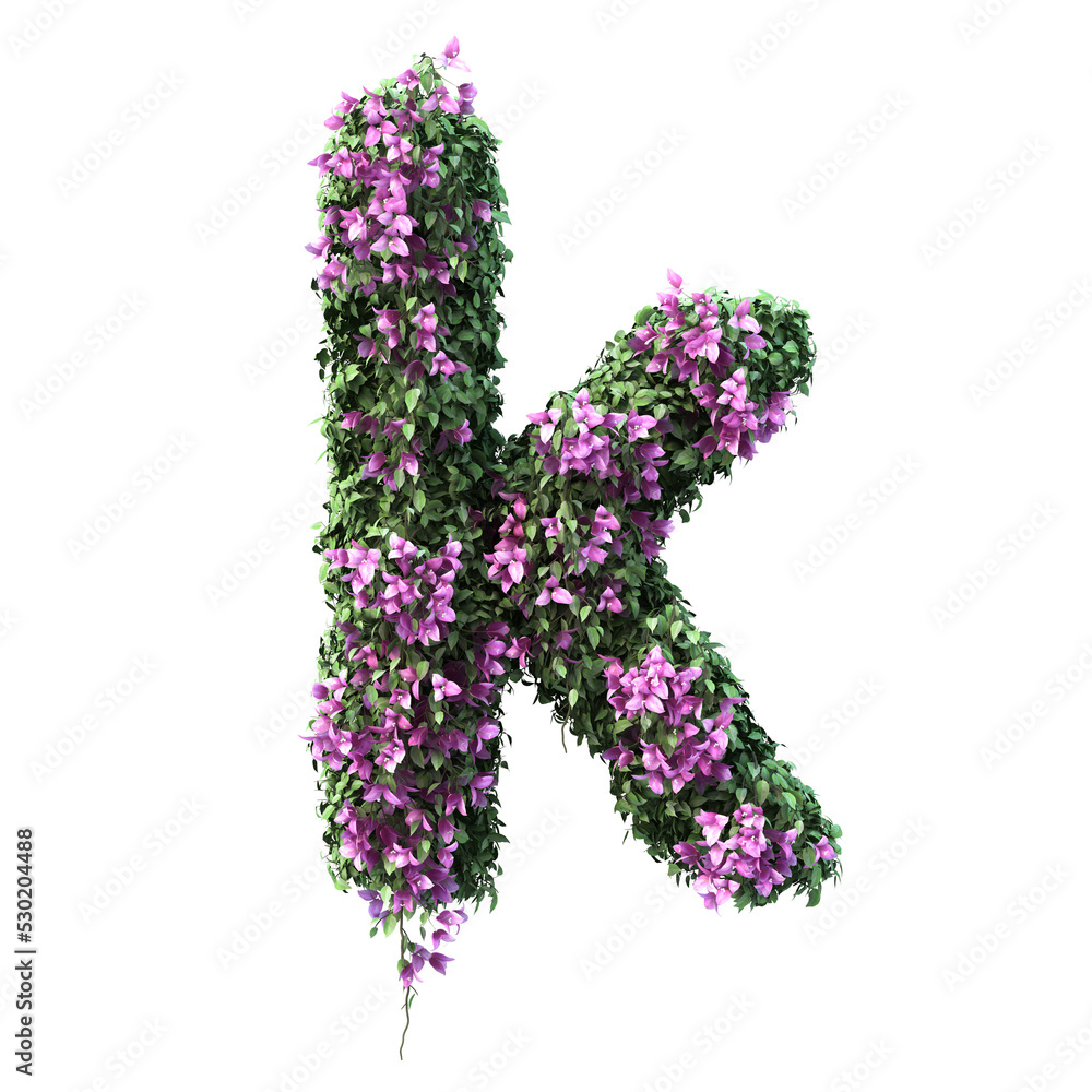 3d rendering of Bougainvillea alphabet set 2
3d rendering of Bougainvillea alphabet set 2