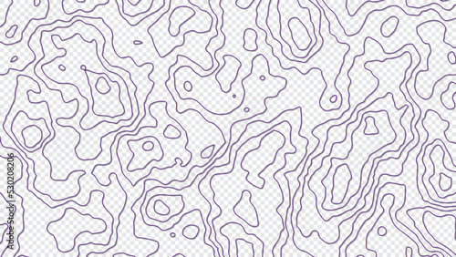 Abstract topographic map. Transparent vector background.