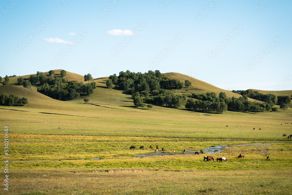 Obraz premium Wulan Butong Grassland in the autumn