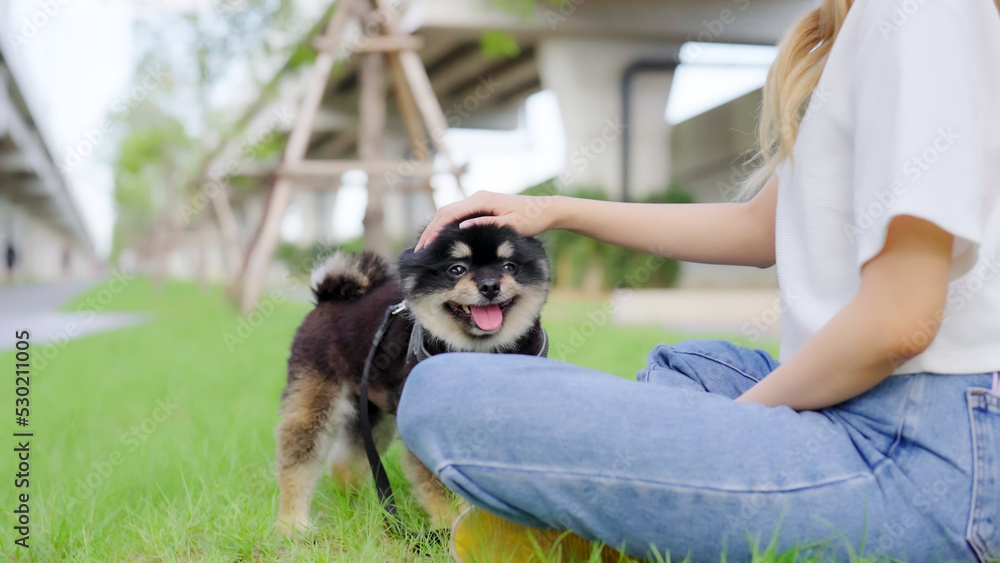 Happy young asian woman playing and sitting on grass in the park with her dog. Pet lover concept