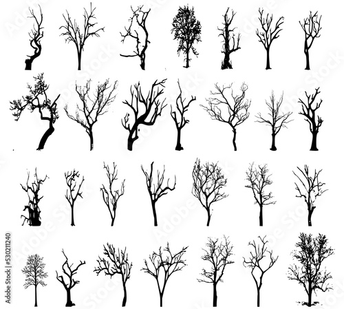 collection of trees vector on white background 