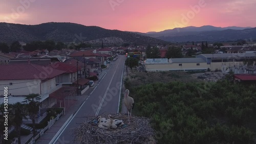 Stork with babies and the sunset over the mountain of Vorras in Greece photo