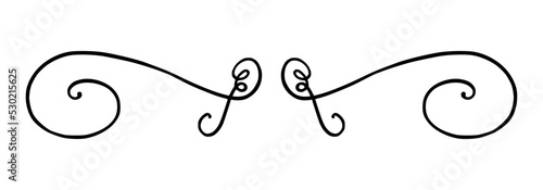 Flourish ornament as monogram or divider for wedding invitations and other designs. Handdrawn flourish isolated in white background. Doodle vector illustration