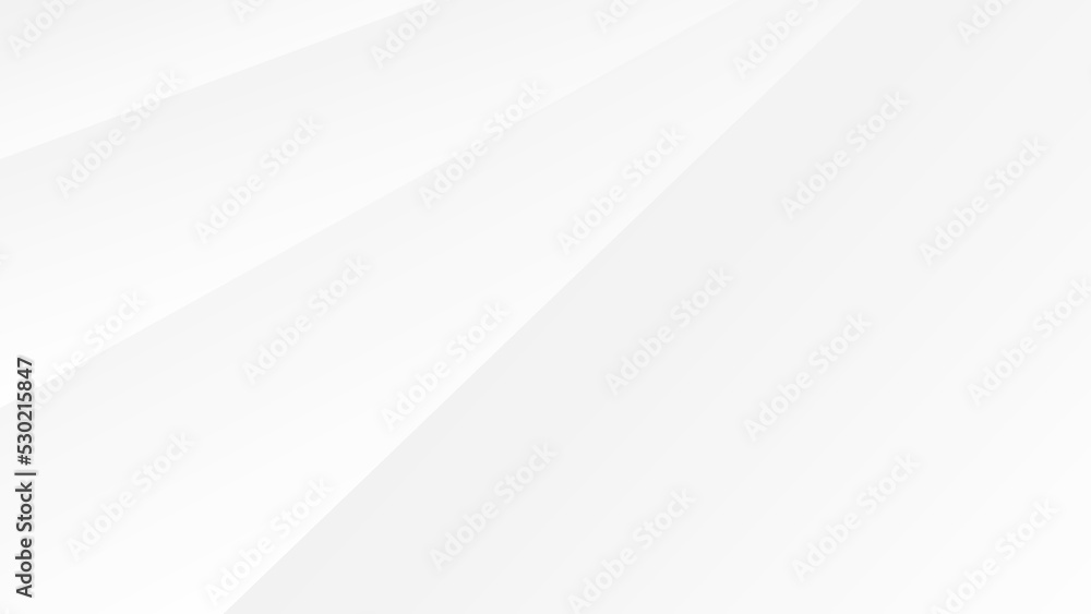 Abstract white geometric pattern background for modern graphic design decoration
Abstract white geometric pattern background for modern graphic design decoration