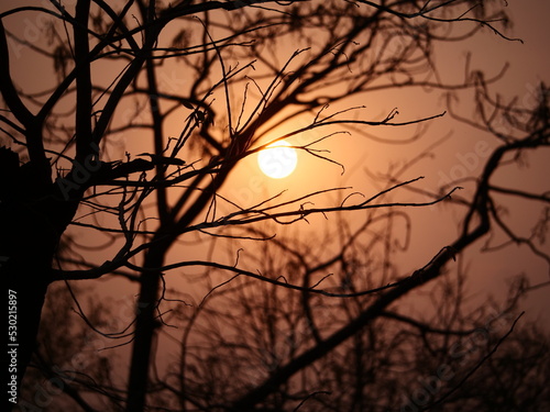 Photography Sunset at the Tadoba-Andhari National Park
