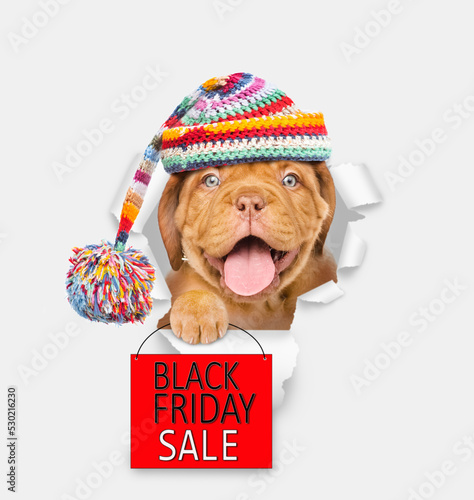 Funny dog  wearing warm hat looking through the hole in white paper and holding shopping bag with labeled "black friday sale" © Ermolaev Alexandr