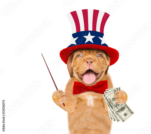 Happy Mastiff puppy wearing like Uncle Sam holds dollars USA and points awau on empty space. isolated on white background © Ermolaev Alexandr