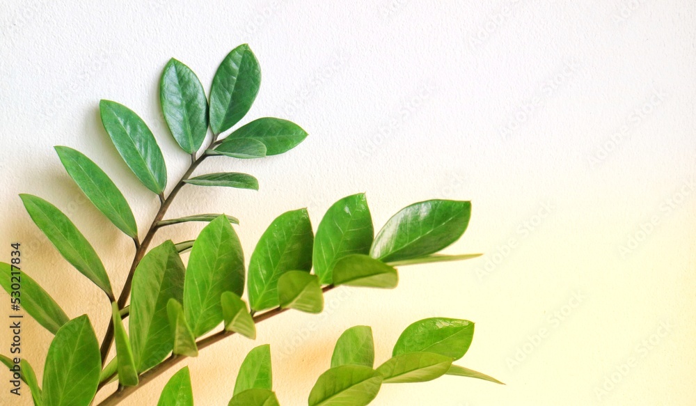 green leaves background green leaves background