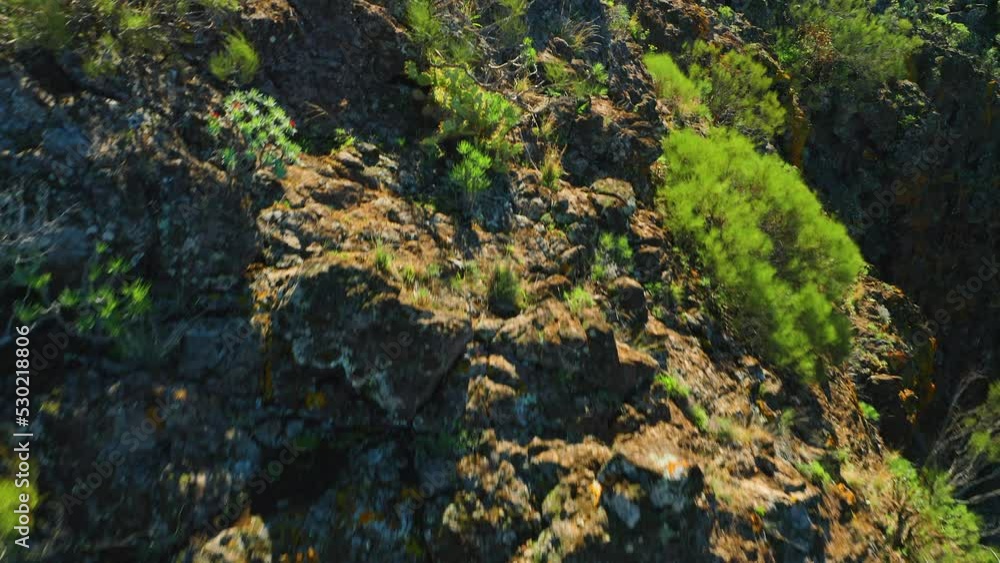Spectacular aerial majestic island landscape. Huge cliffs Masca gorge, Tenerife, Spain. From the bottom up, gradually opens a mountain with village below. Woman tourist stands on edge of crag. Spectacular aerial majestic island landscape. Huge cliffs Masca gorge, Tenerife, Spain. From the bottom up, gradually opens a mountain with village below. Woman tourist stands on edge of crag.