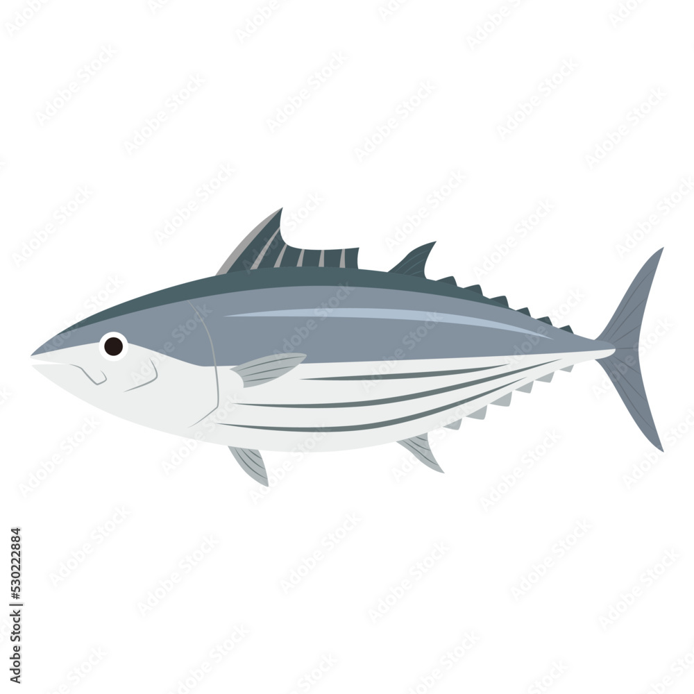 かつおのイラスト かつおのイラスト