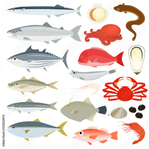 魚介類のイラストセット