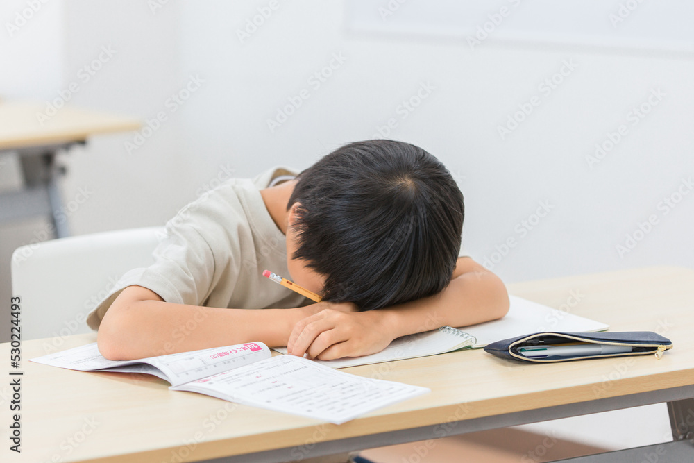 授業中に居眠りする子供(勉強嫌い・無気力・やる気が出ない)
授業中に居眠りする子供(勉強嫌い・無気力・やる気が出ない)