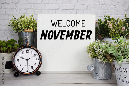 Welcome November text message with artificial plant decoration on wooden background