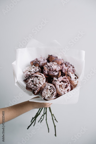 Woman's hand holding big and beautiful mono bouquet of brown dyed peonies on the grey background, close up view