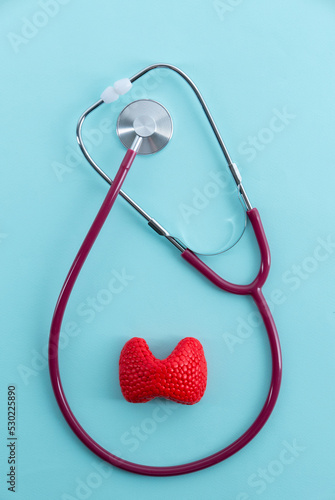 Thyroid gland and stethoscope lies on a blue background