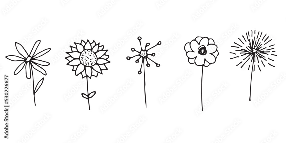 Obraz premium Doodle hand drawn vector flowres