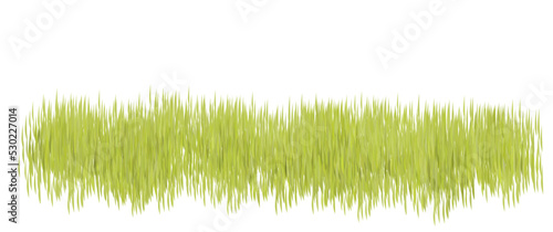 Isolated ricefield vector asset illustration, green foliage vector illustration. Perfect for background element, nature background element, design or game asset. photo