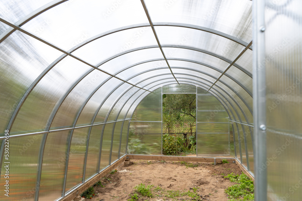 New polycarbonate greenhouse with metal frame in the garden in summer New polycarbonate greenhouse with metal frame in the garden in summer