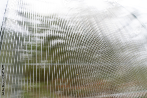 Translucent polycarbonate sheets on the greenhouse in summer are sheltered from the cold