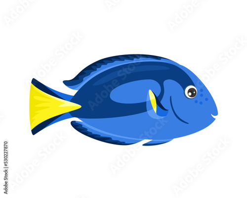 Cute sea fish. Blue tang or Regal tang  isolated on white background. Vector cartoon illustration. photo
