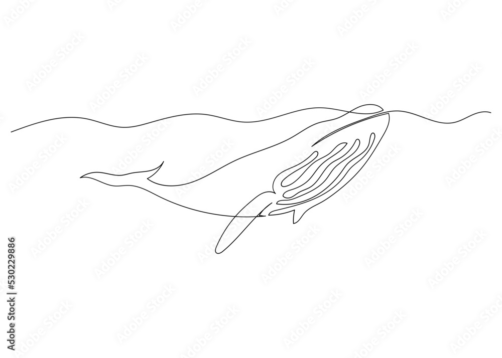 Continuous line drawing of whale with the ocean. Minimalism art. Continuous line drawing of whale with the ocean. Minimalism art.