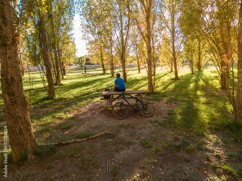 Photograph of a green forest in the middle of spring on the banks of the Ebro, Juslibol, next to Zaragoza.