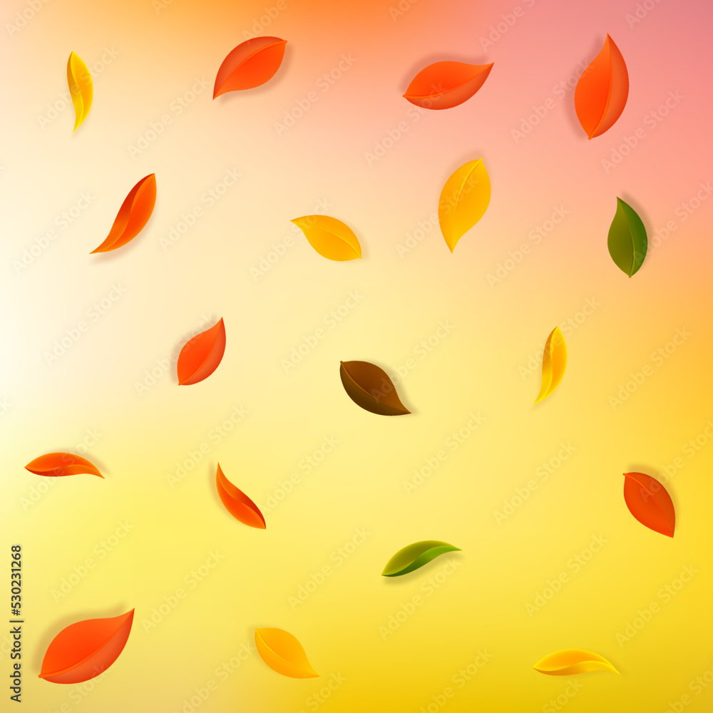 Falling autumn leaves. Red, yellow, green, brown n Falling autumn leaves. Red, yellow, green, brown n