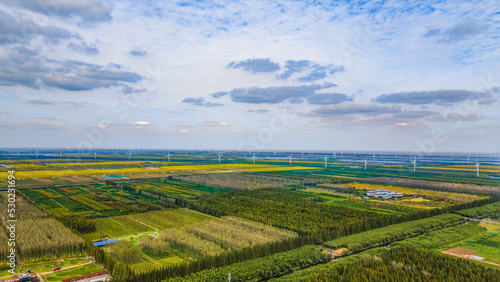 Aerial photography of Yellow Sea Forest Park in Dongtai City  Yancheng City  Jiangsu Province  China in autumn
