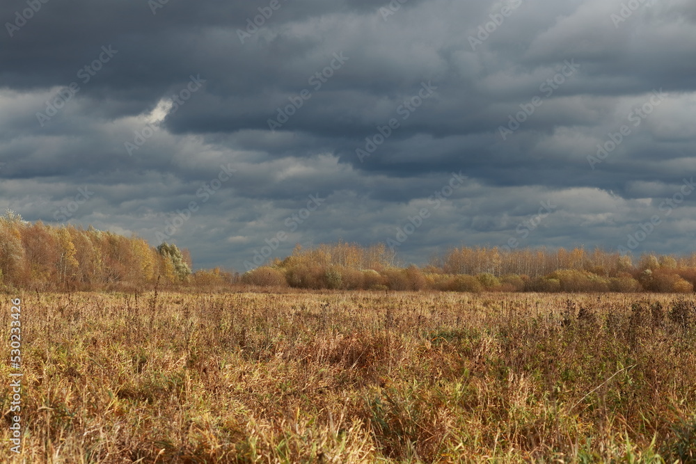 View of an autumn field with yellowed grass against a dark cloudy sky. Reverse tonal perspective. View of an autumn field with yellowed grass against a dark cloudy sky. Reverse tonal perspective.