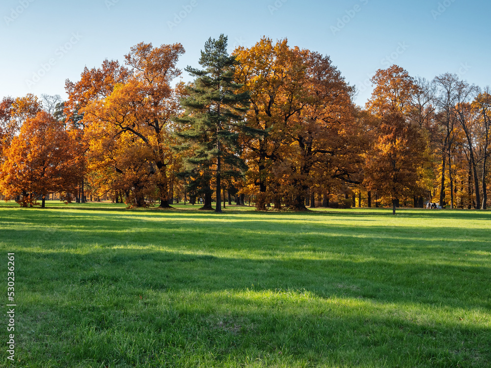 Peterhof, Alexandria Park in autumn. Oaks in autumn decoration.
