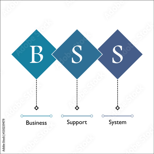 BSS Acronym - Business support system in an Infographic template