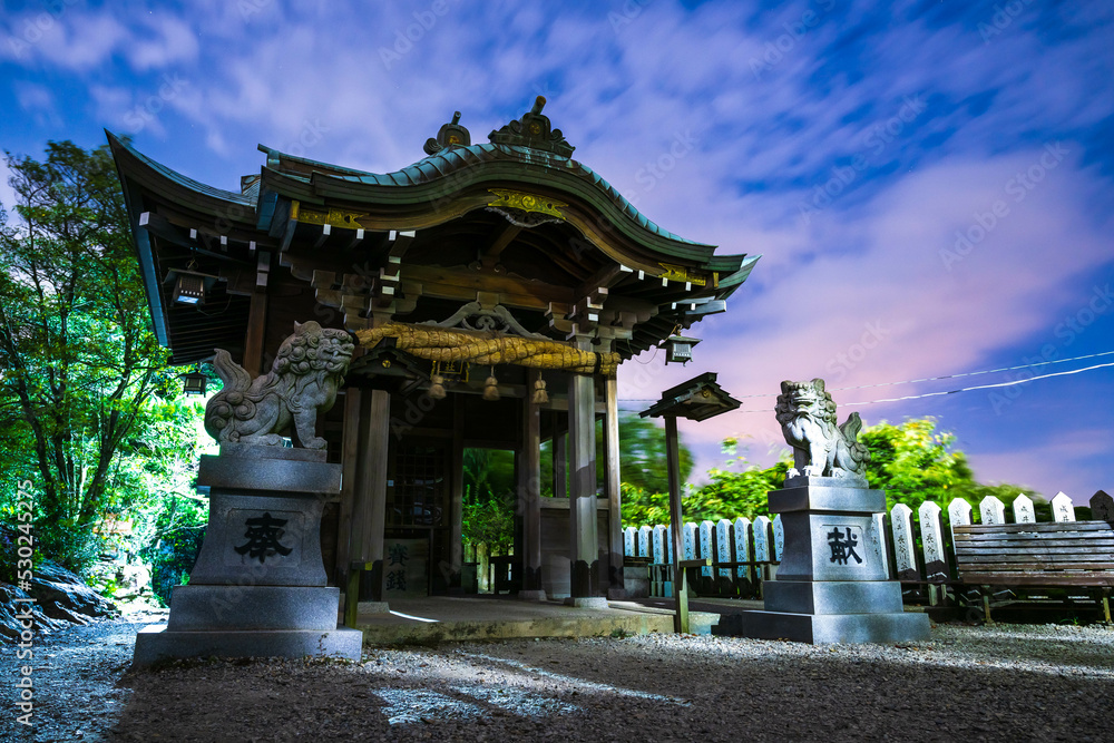 Fototapeta premium 夜の神社