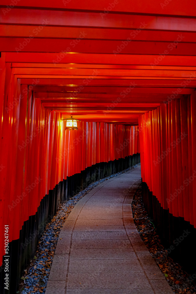 Fototapeta premium Fushimi Inari-Taisha_Calling from the other side_3