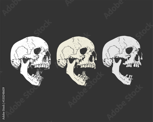 skull hand drawing vector