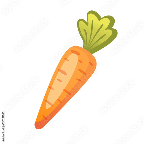 A bunch of fresh ripe organic carrots. Harvesting of vegetables at the farm. Carrot cut into round pieces. illustration in cartoon style on white background. Carrot logo