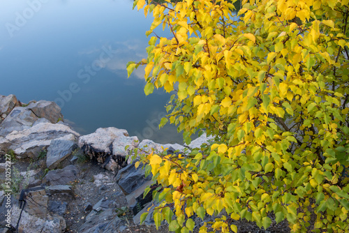 Landscape with lake, trees, and rocks in autumn. Trees reflected in water. Tree with yellow leaves on lake background