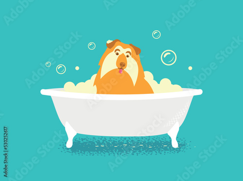 dog in a bath with soapy foam on a green background