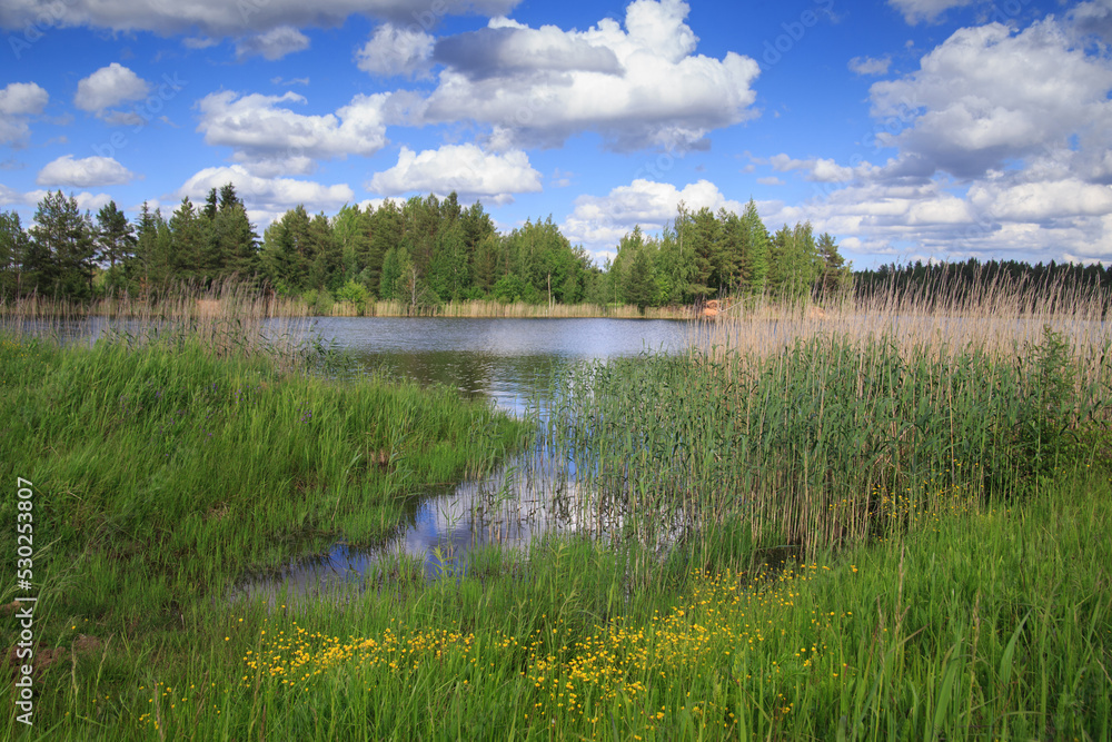 Landscape with meadow and lake.