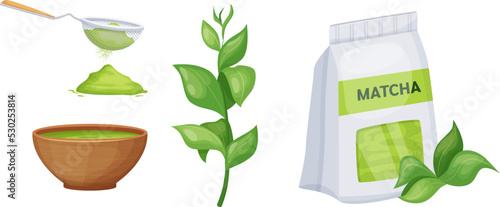 Set of Japanese national traditional tea ceremony products. Green fresh leaves of matcha plant, dried powder packaging and bowl of aroma drink. Organic vegetarian food for healthy diet