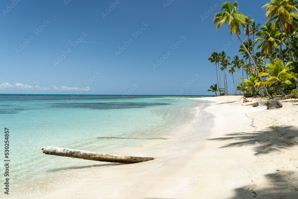 Tropical beach on Caribbean Island - Dominican Republic