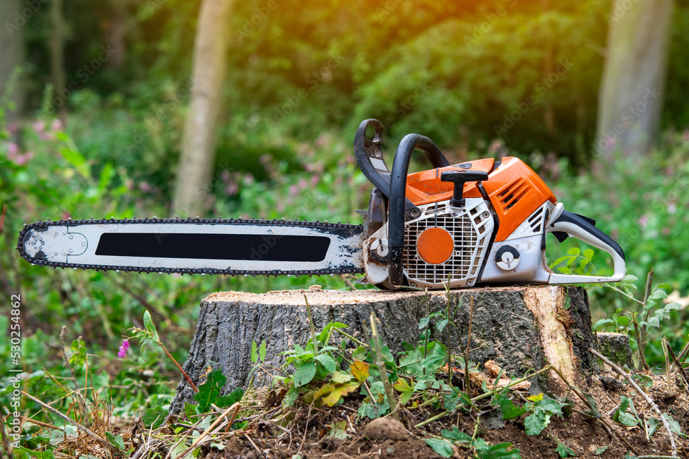 Close-up of petrol-powered chain saw left by arborist on top of tree stump