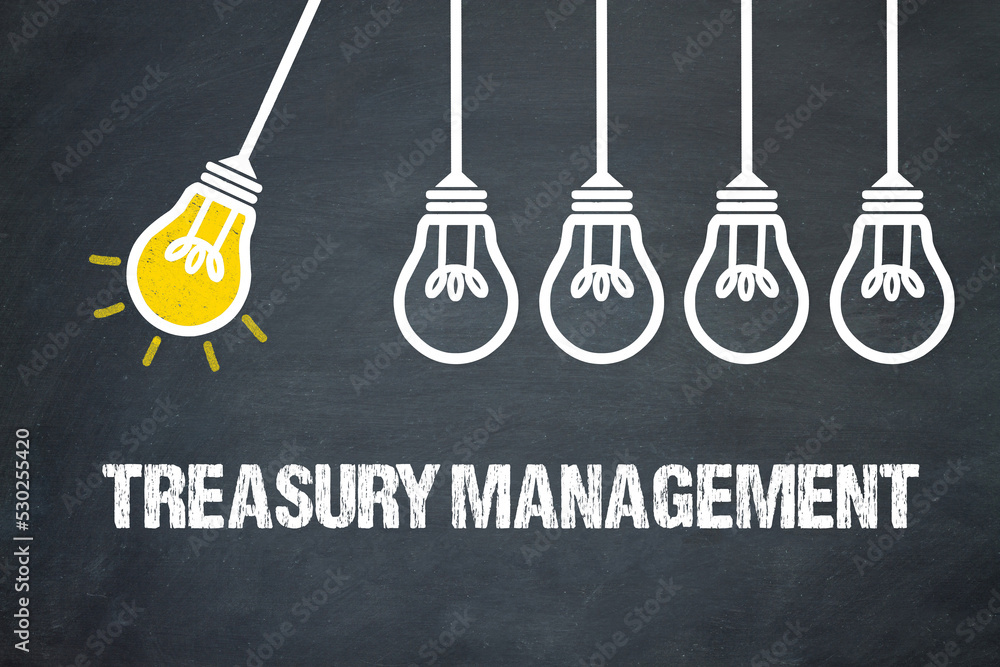 Fototapeta premium Treasury Management 