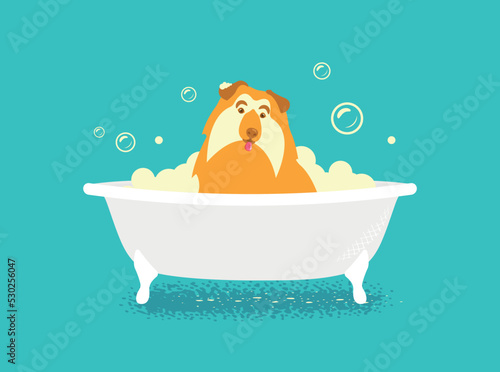 dog in a bath with soapy foam on a green background