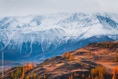 Snow-covered mountains and yellow autumn trees in Altai, Russia.