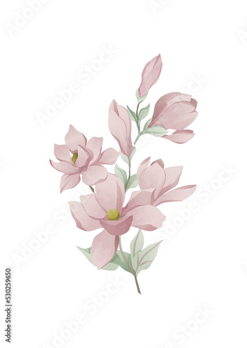 Watercolour flowers magnolia on cards