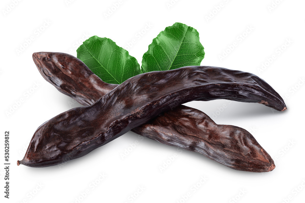 Ripe carob pods isolated on white background with full depth of field - obrazy, fototapety, plakaty 