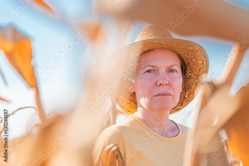 Female agronomist and farmer standing in ripe harvest ready dent corn field